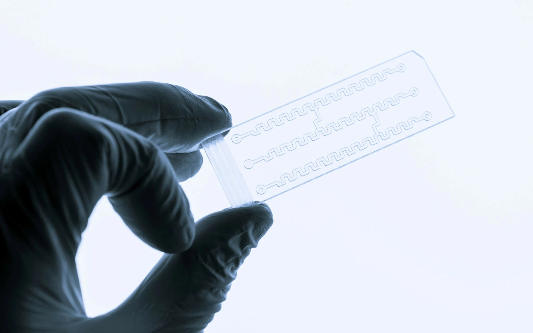 bf33 microfluidic glass chip for biological rapid testing
