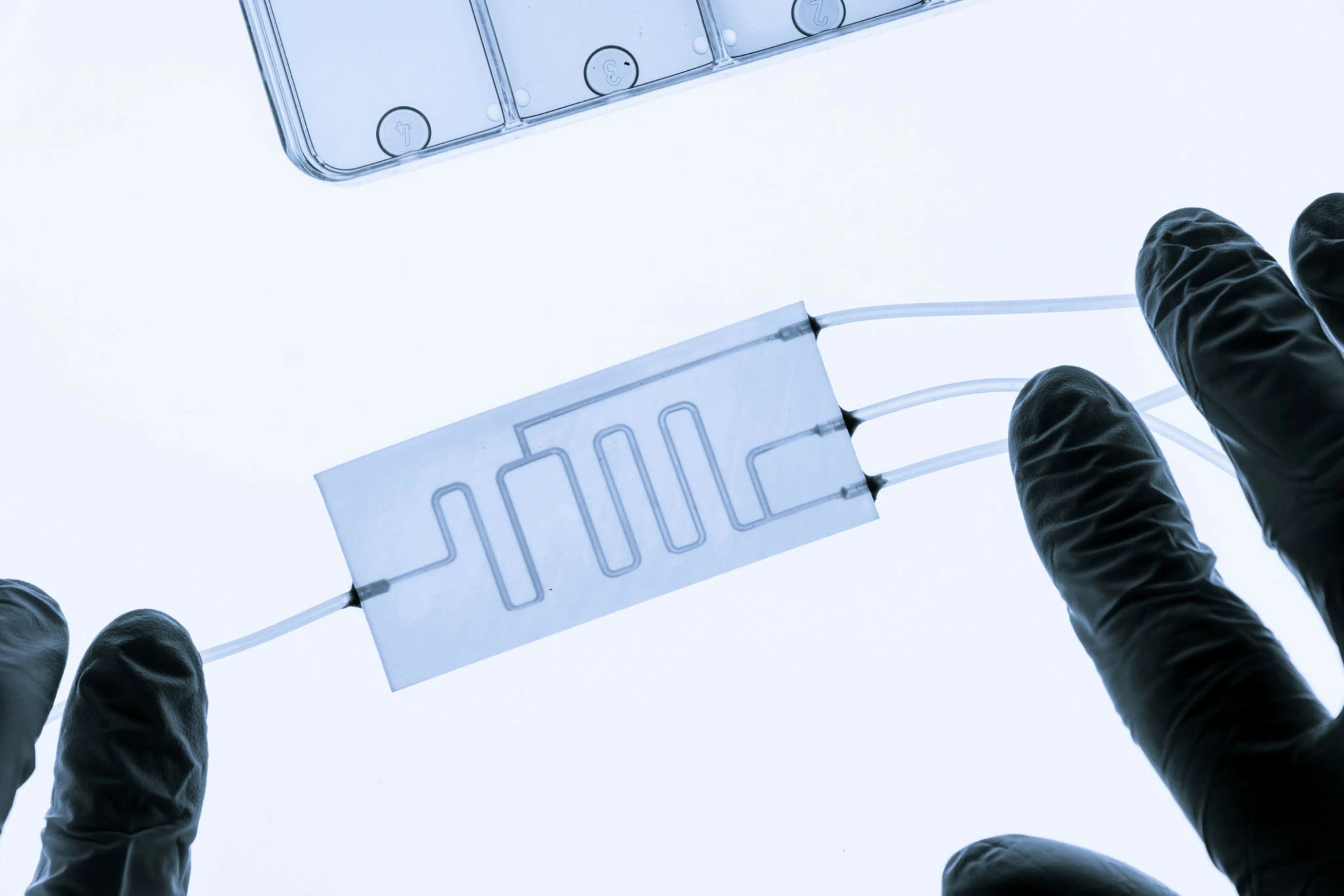 microfluidic glass chip, custom glass chip, lab on chip glass