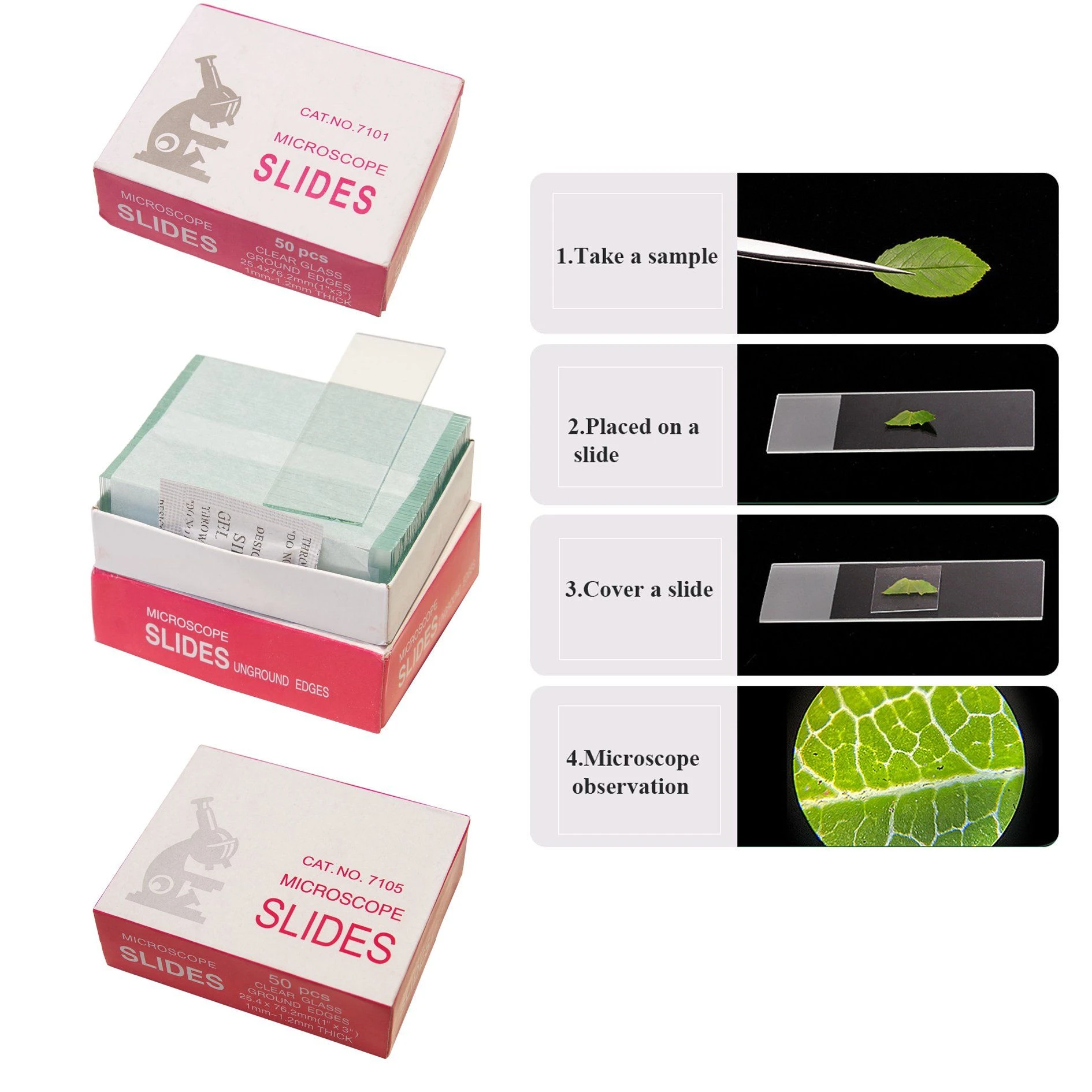 Microscope Slides 7105 Frosted Slide Polished Edge for Lab Glassware