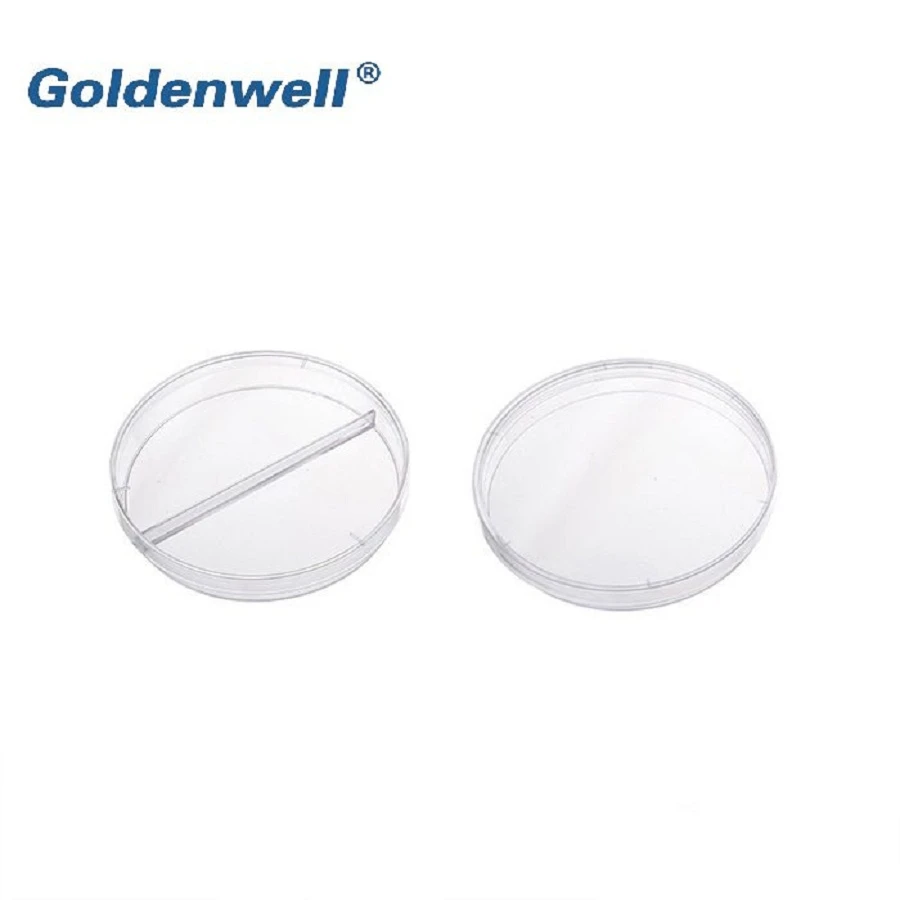 Petri Dish Microscope Glass Bottom