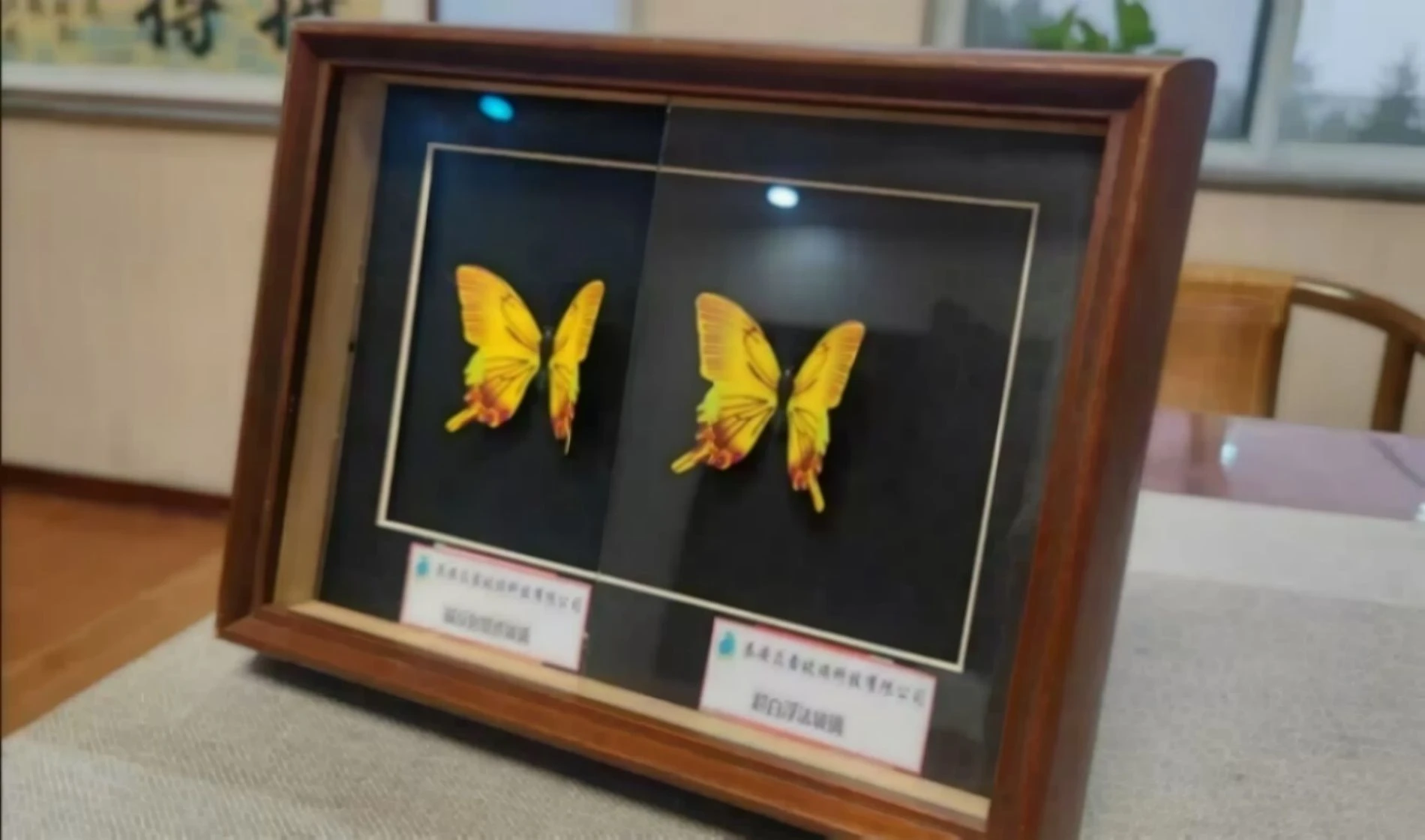 Scratch Resistant Ar Glass for Touch Screens with Anti-Fingerprint Coating